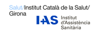 Logo ICS i IAS