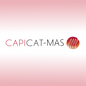 Grup de treball CapiCAT-MAS de la Societat Catalana de Reumatologia